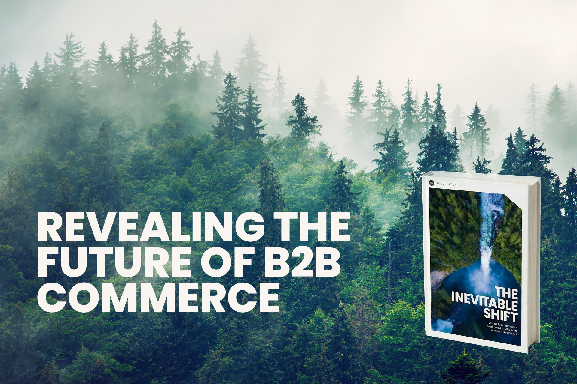 Image for Whitepaper: Revealing the Future of B2B