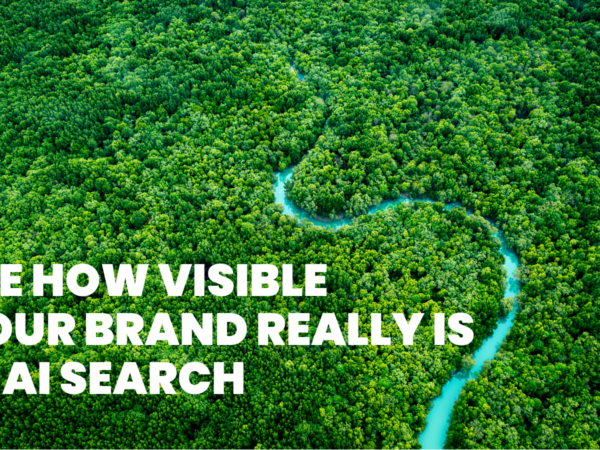 Request Your AI Visibility Audit