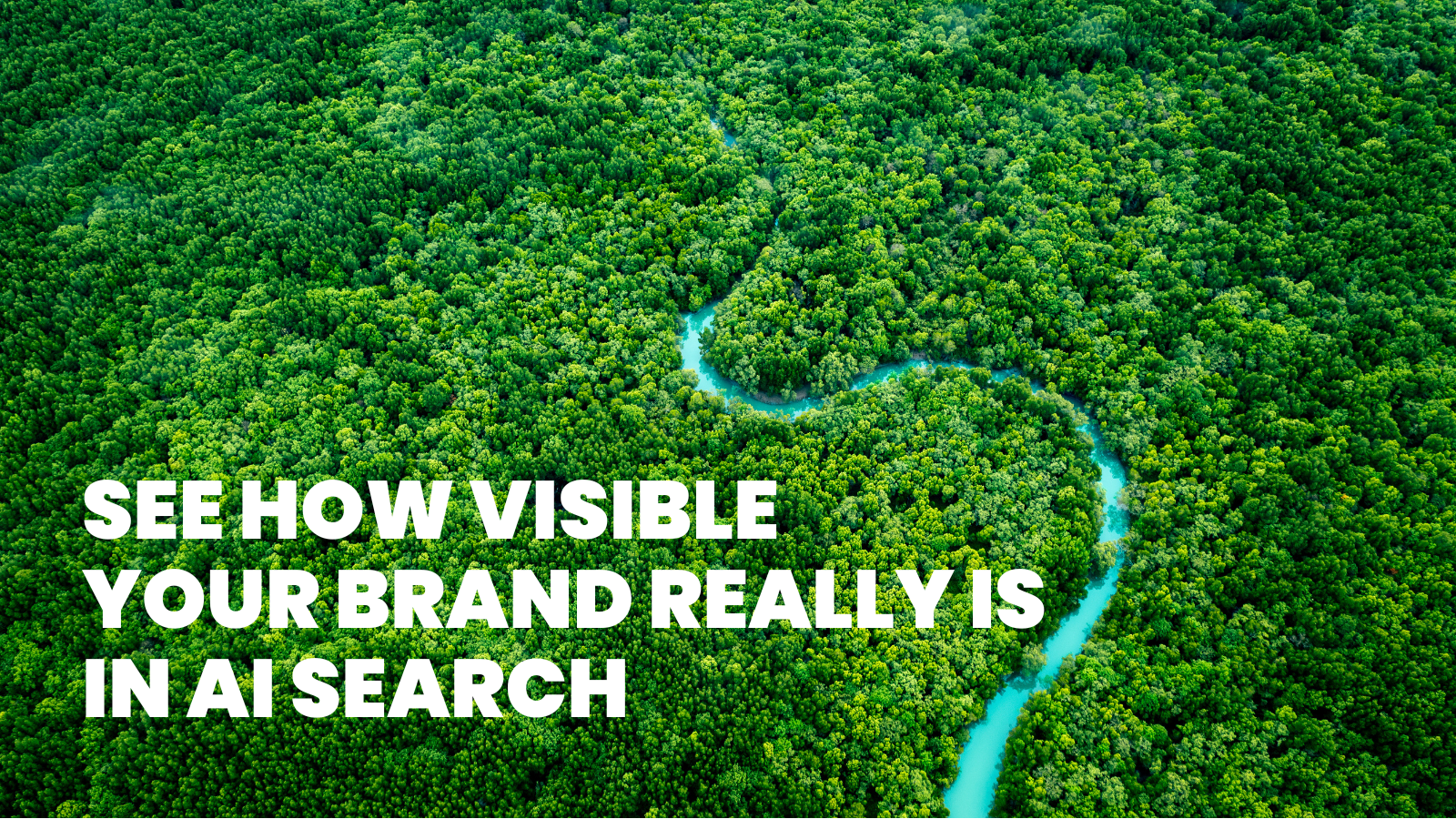 Image for Request Your AI Visibility Audit